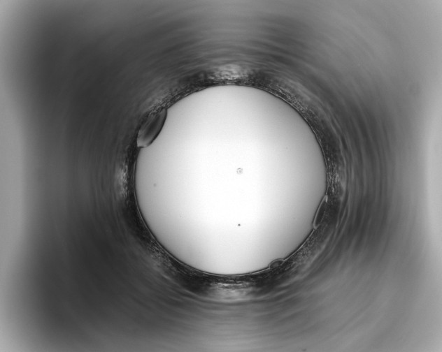 X0000096650556200802261323