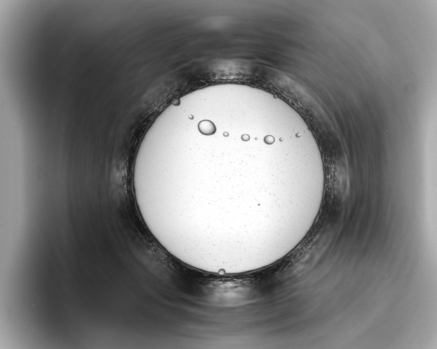 X0000096650557200802261323