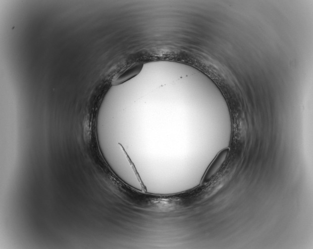 X0000096650558200802261323