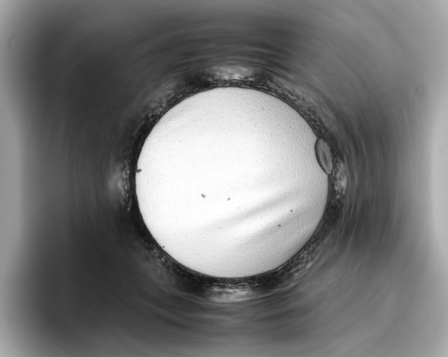 X0000096650559200802261323