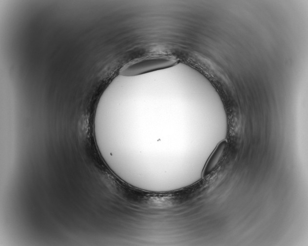 X0000096650560200802261323