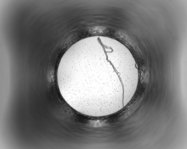 X0000096650561200802261323