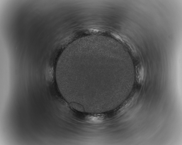 X0000096650563200802261323