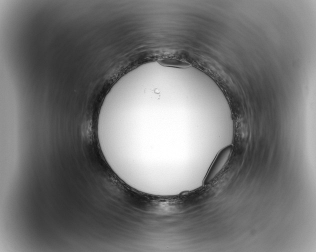 X0000096650564200802261323