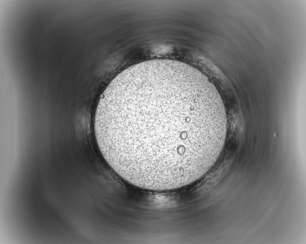 X0000096650565200802261323