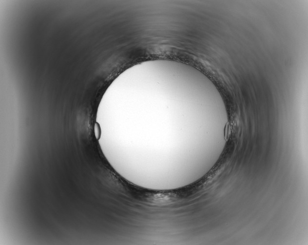 X0000096650566200802261323