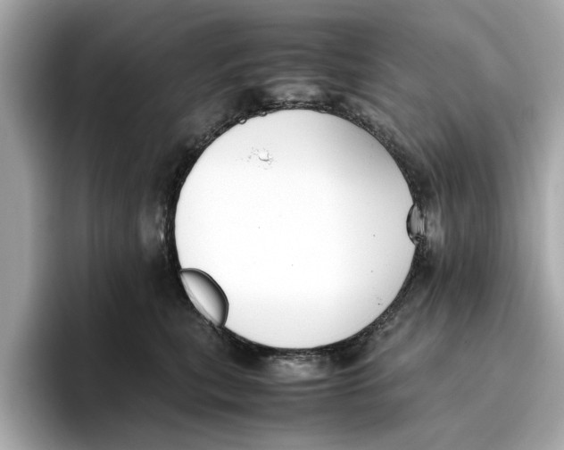 X0000096650567200802261323