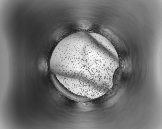 X0000096650568200802261323