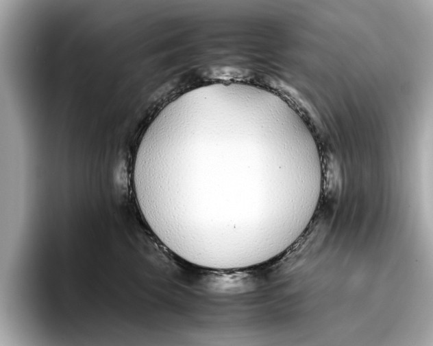 X0000096650569200802261323