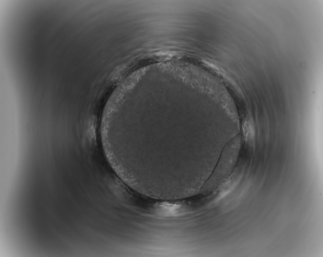 X0000096650570200802261323