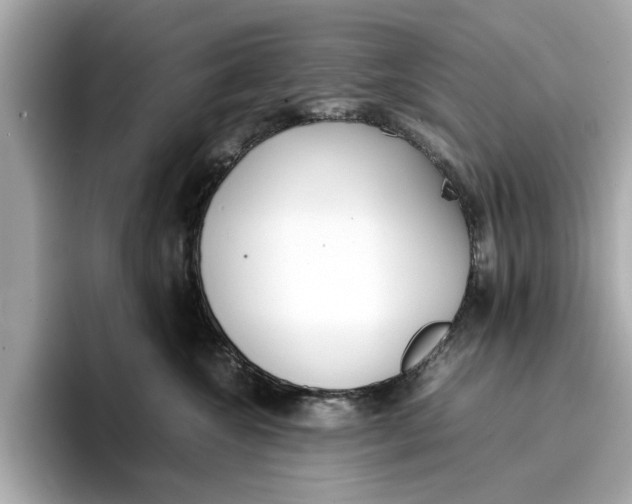 X0000096650572200802261323