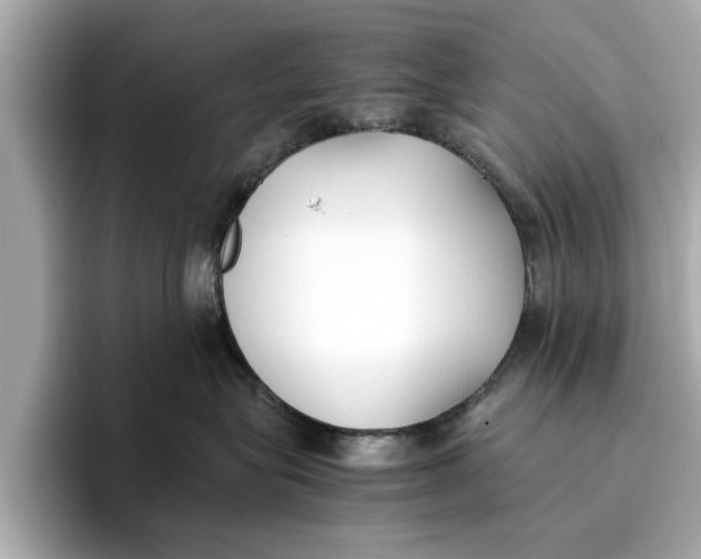 X0000096650575200802261323