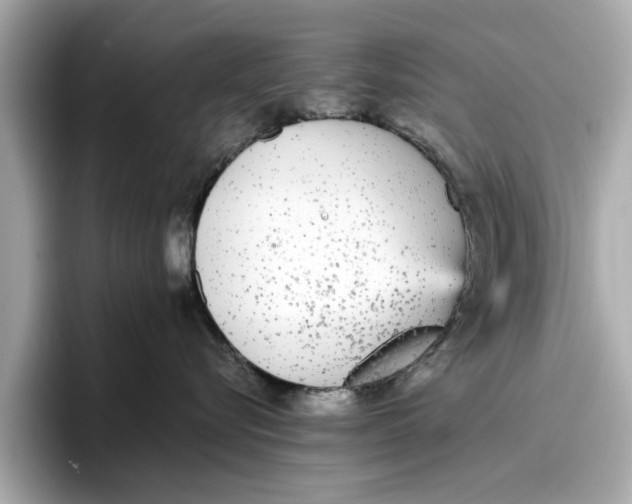 X0000096650576200802261323