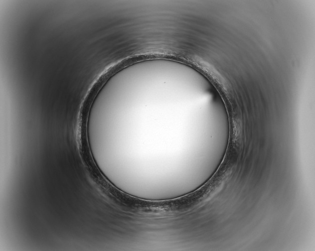 X0000096650580200802261322