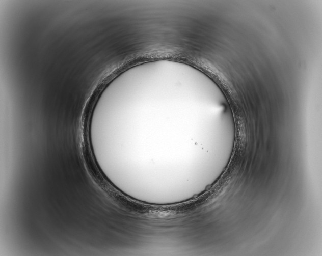 X0000096650582200802261322