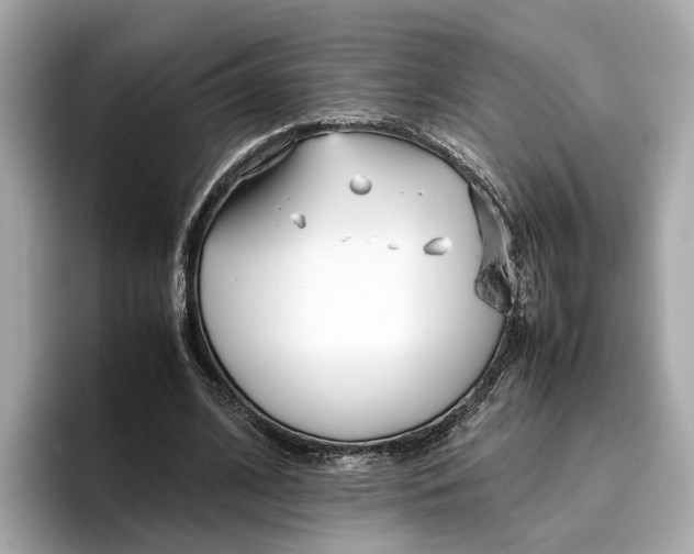 X0000096650584200802261322