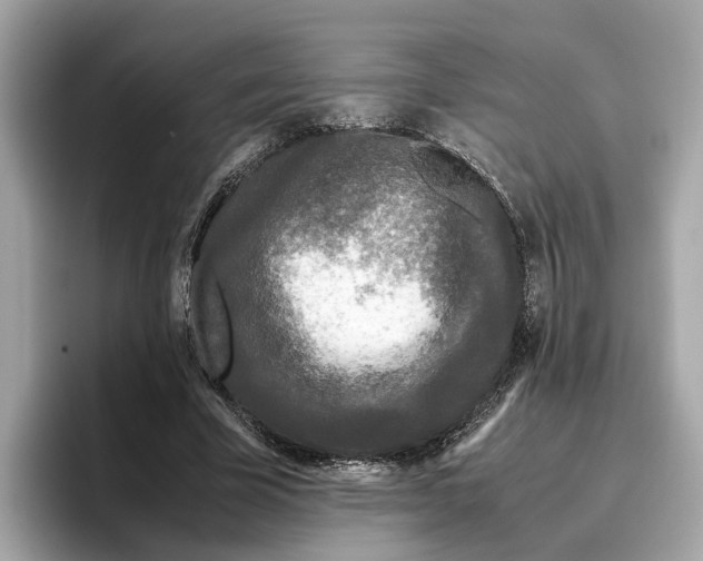 X0000096650585200802261322