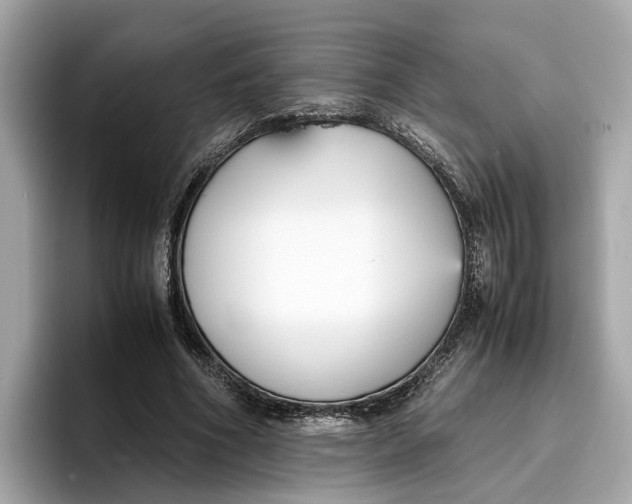 X0000096650586200802261322