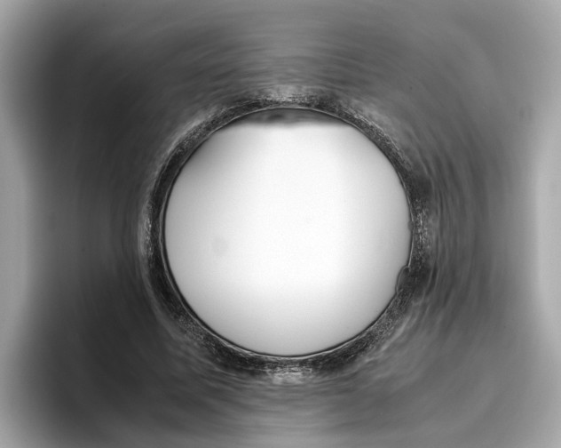 X0000096650587200802261322