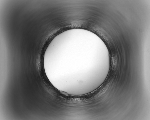 X0000096650588200802261322