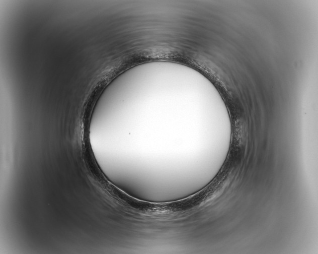 X0000096650589200802261322