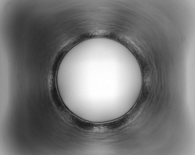 X0000096650591200802261322