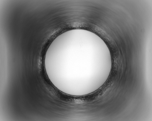 X0000096650592200802261322