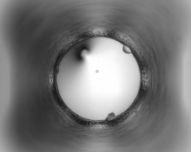 X0000096650593200802261322