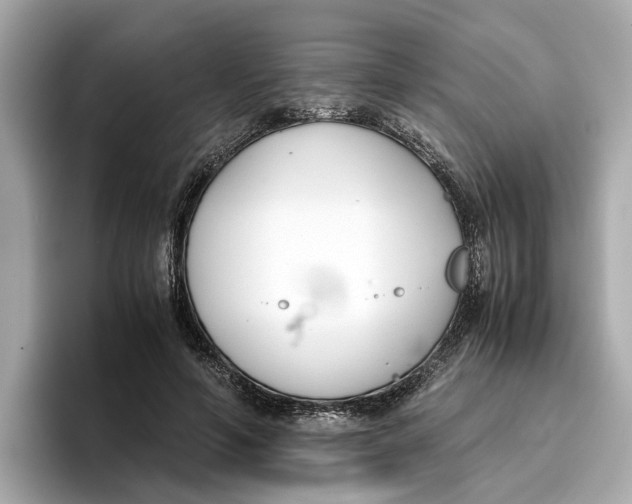 X0000096650594200802261322