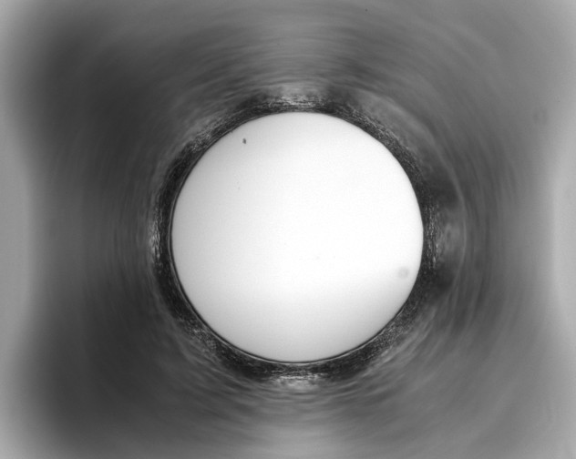 X0000096650595200802261322