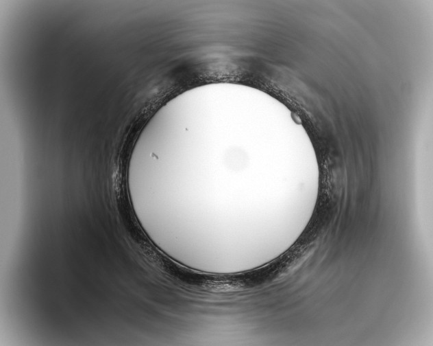 X0000096650597200802261322