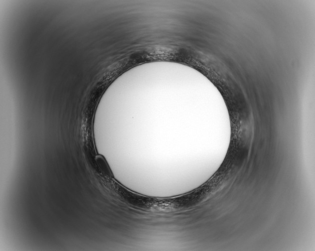 X0000096650599200802261322