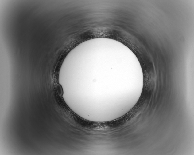 X0000096650601200802261322