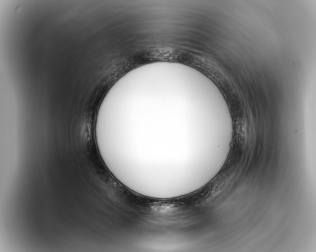 X0000096650602200802261322