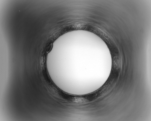 X0000096650605200802261322