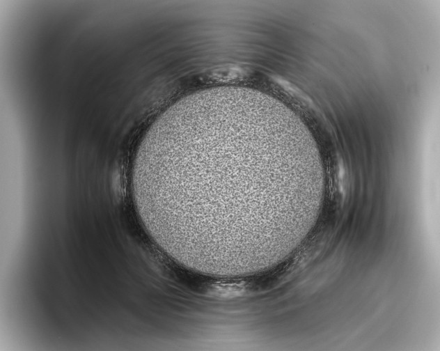 X0000096650606200802261322