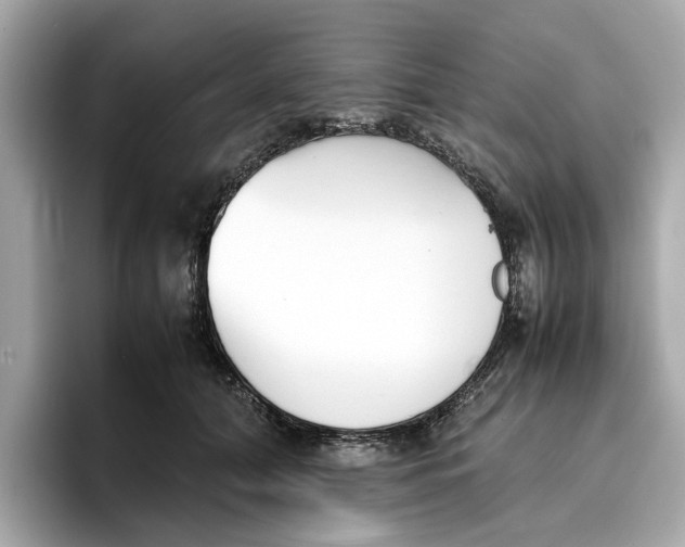 X0000096650608200802261322