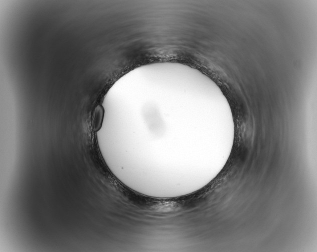 X0000096650609200802261322