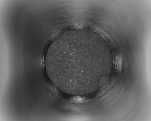 X0000096650610200802261322