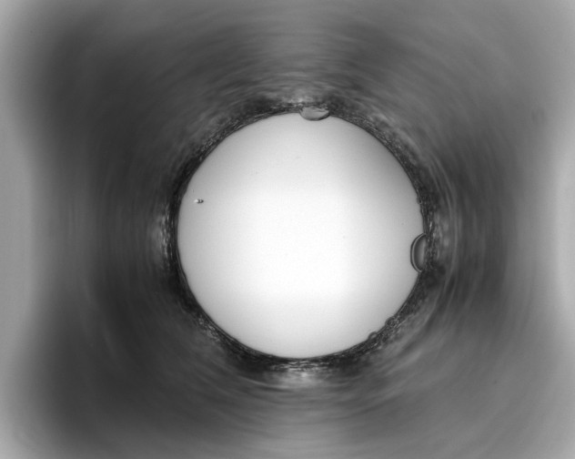 X0000096650612200802261322