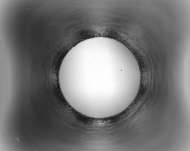 X0000096650613200802261322