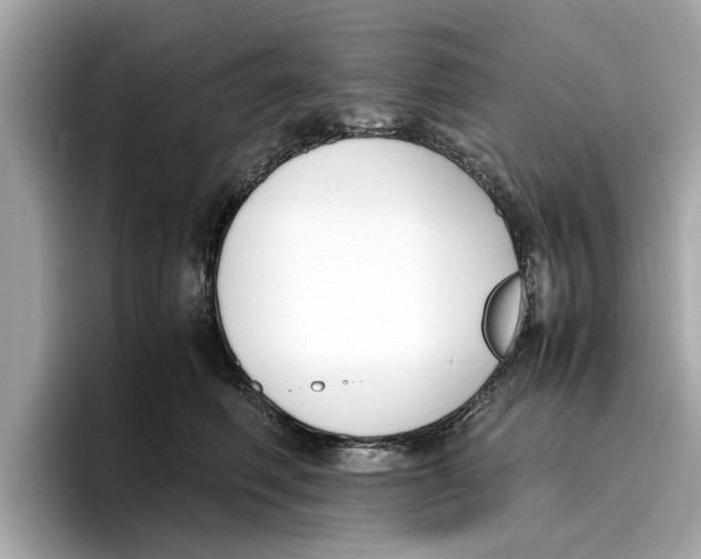 X0000096650614200802261322