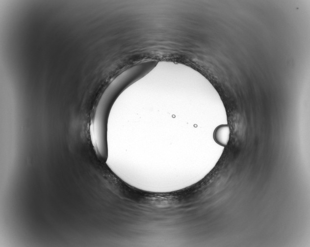 X0000096650615200802261322