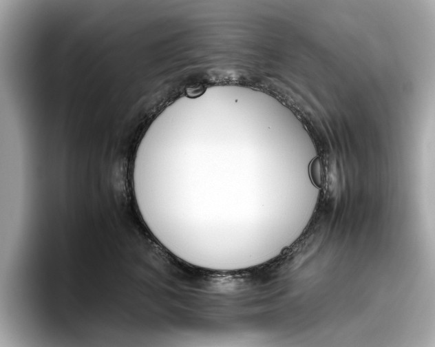 X0000096650616200802261322