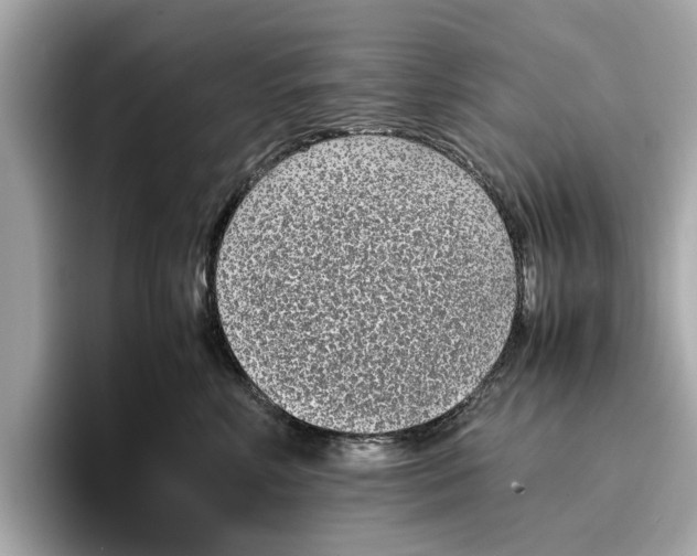 X0000096650618200802261322