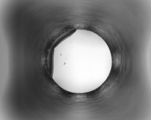 X0000096650619200802261322