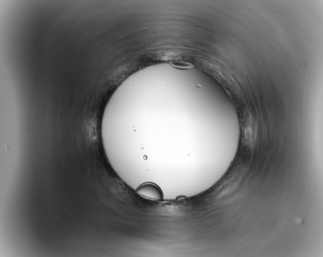 X0000096650620200802261322