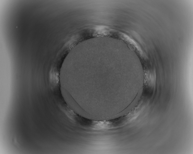 X0000096650621200802261322