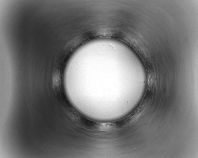 X0000096650623200802261322