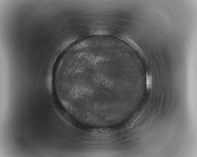 X0000096650627200802261321